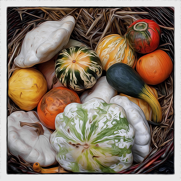 001 Versch Korb IMG_2329 als Smart-Objekt-1 Kopie als Smartobjekt-1 kopieren.jpg